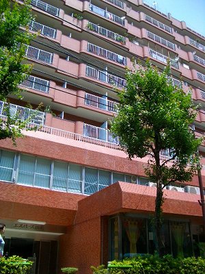 写真あり